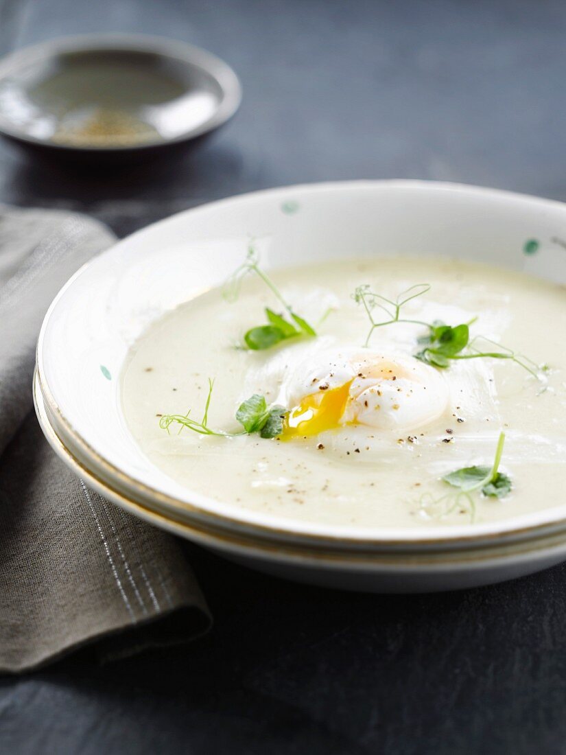 Cream of white asparagus soup with a poached egg