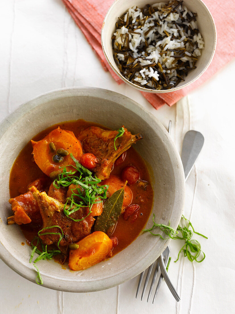 Lamb and apricot Tajine,mixed white and wild rice