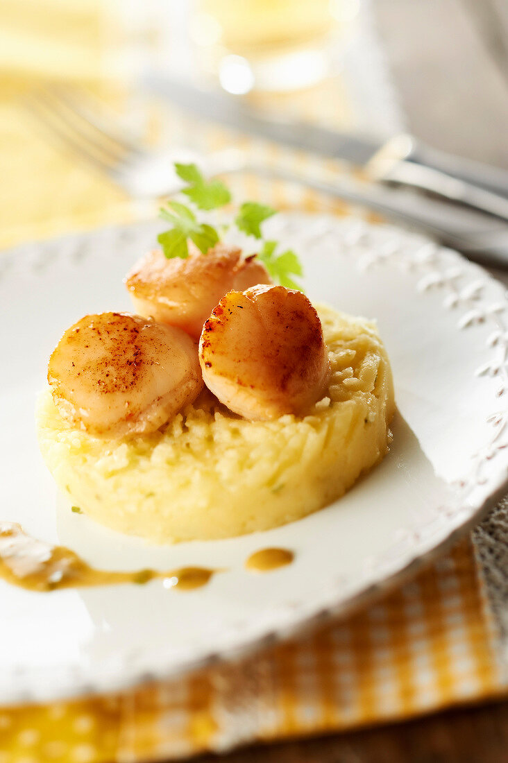 Mashed potatoes with seaweed butter with pan-fried scallops