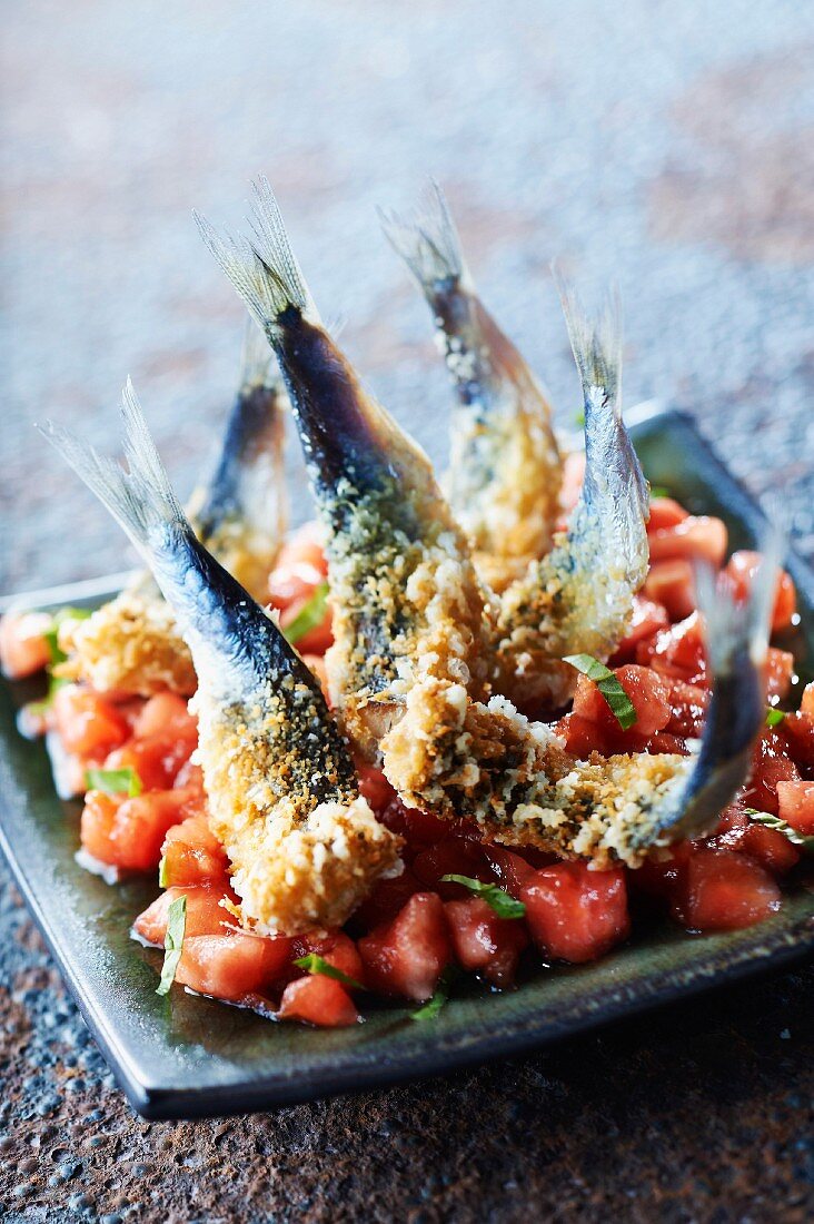 Tomato tartare with sardines in crisp Comté crust