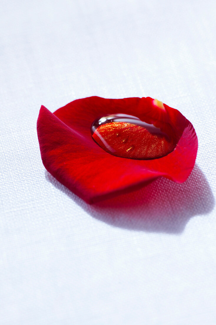 Honey in red rose petals