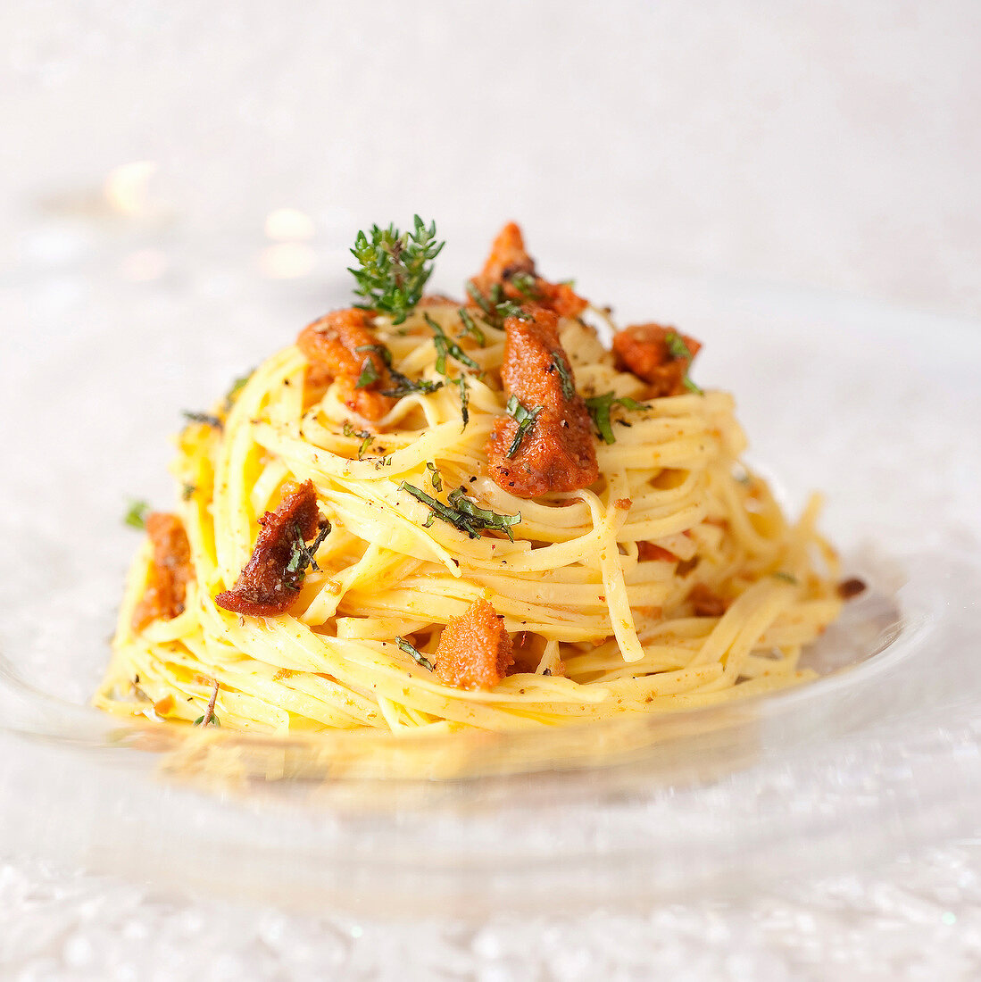 Tagliatellini-Nest mit Seeigel