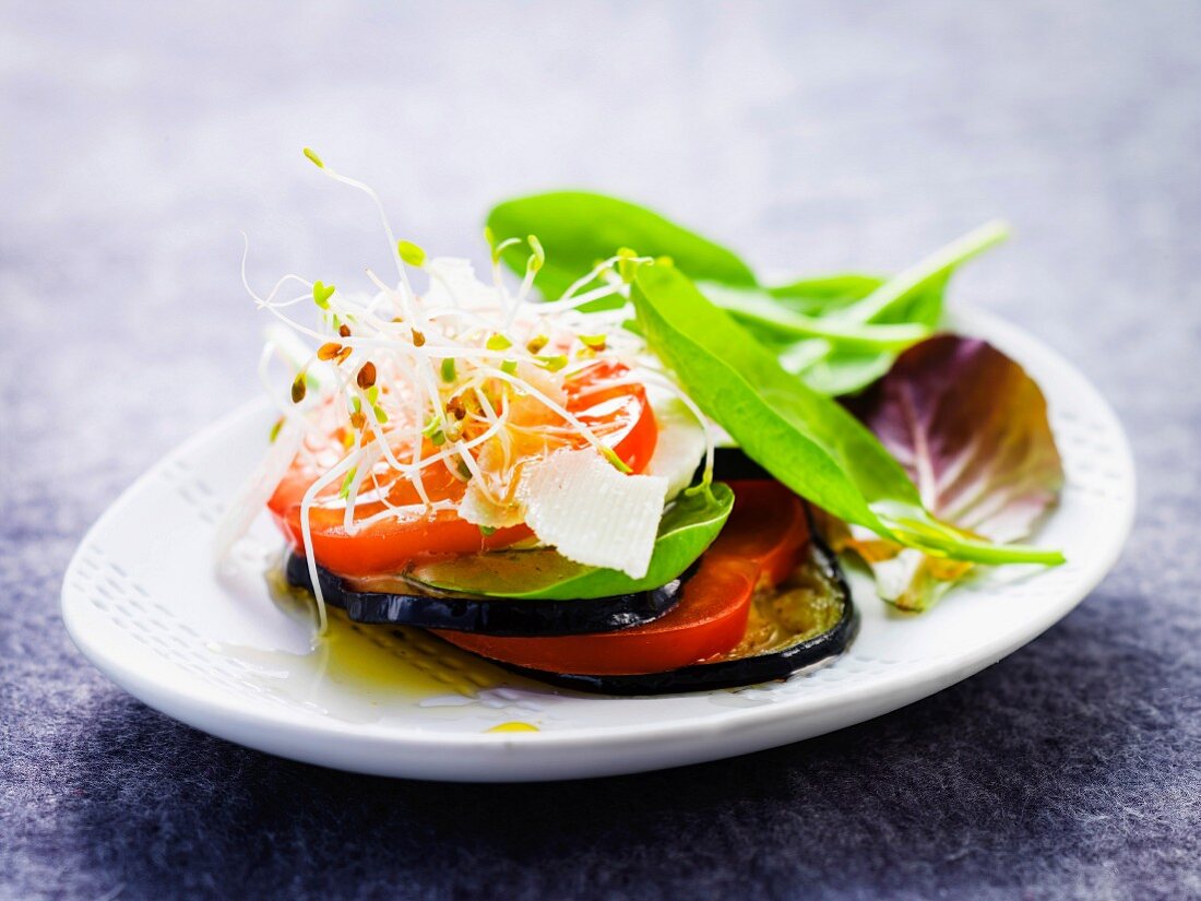 Layered tomato,eggplant and sprout starter