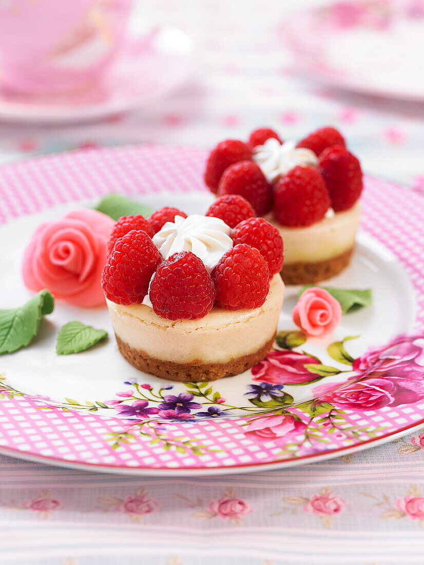 Cupcakes nach Art Cheescake mit Himbeeren