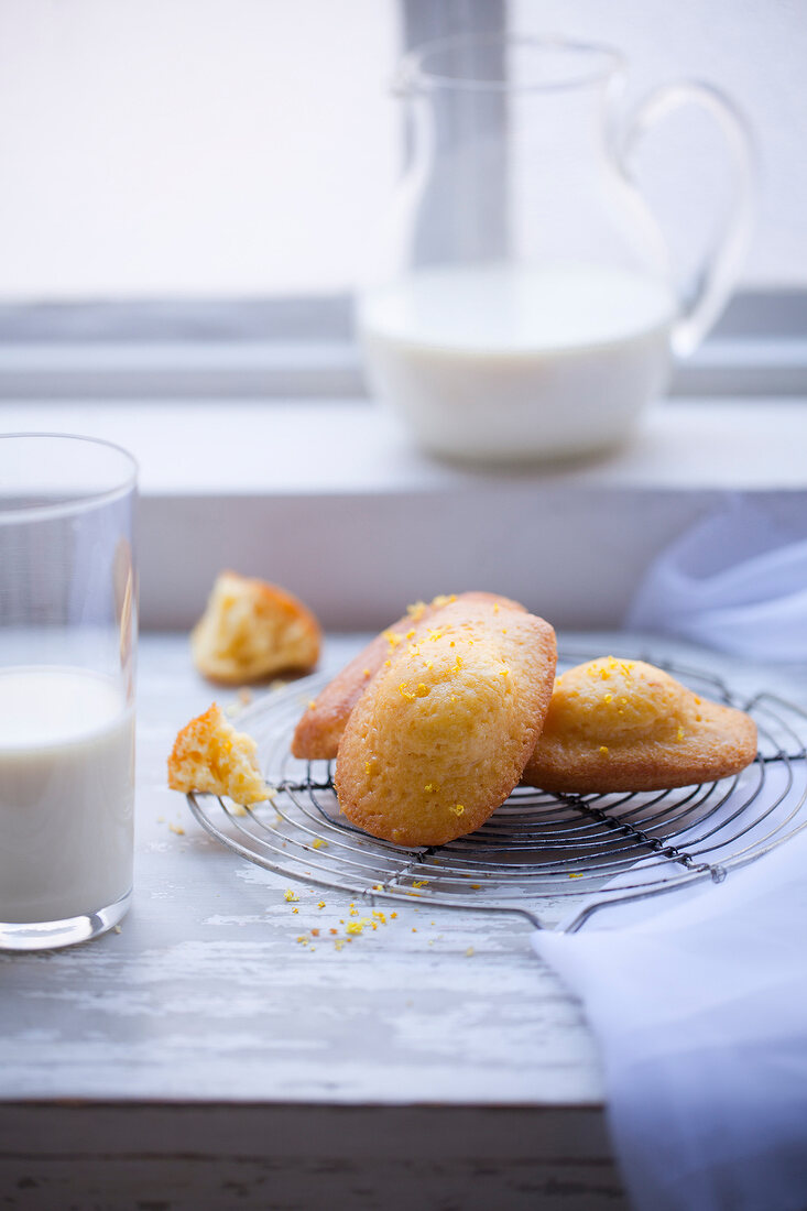 Lemon Madeleines