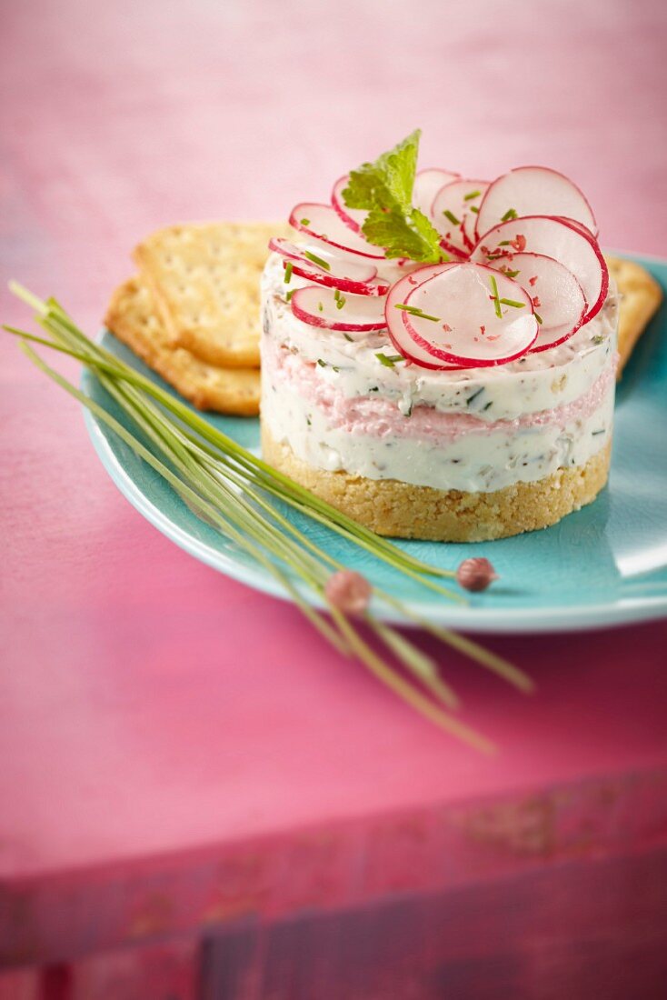 Cheesecake mit Tuc-Salzgebäck, Frischkäse und Radieschencreme