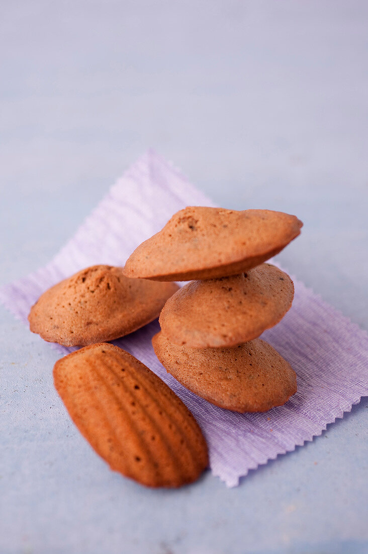 Chocolate Madeleines