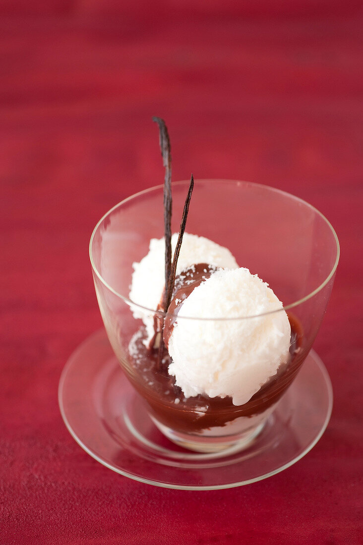 Coconut ice cream with chocolate and vanilla sauce