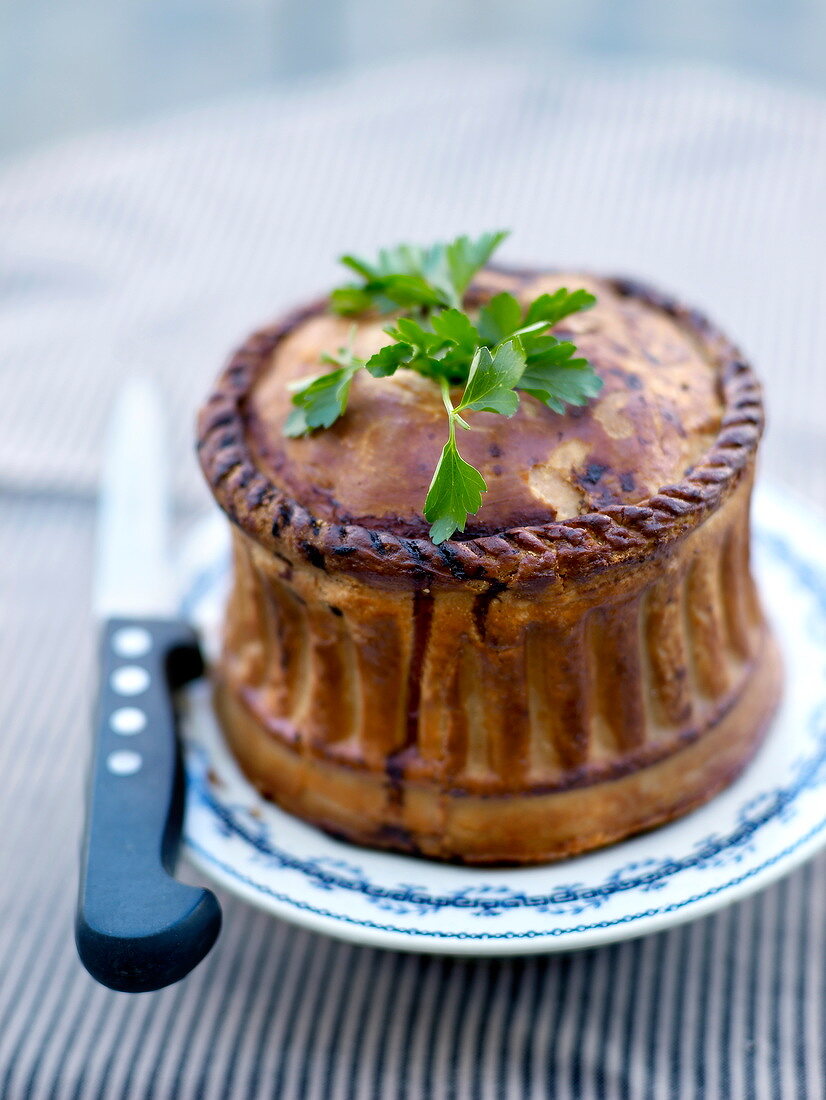 Pâté from Tours