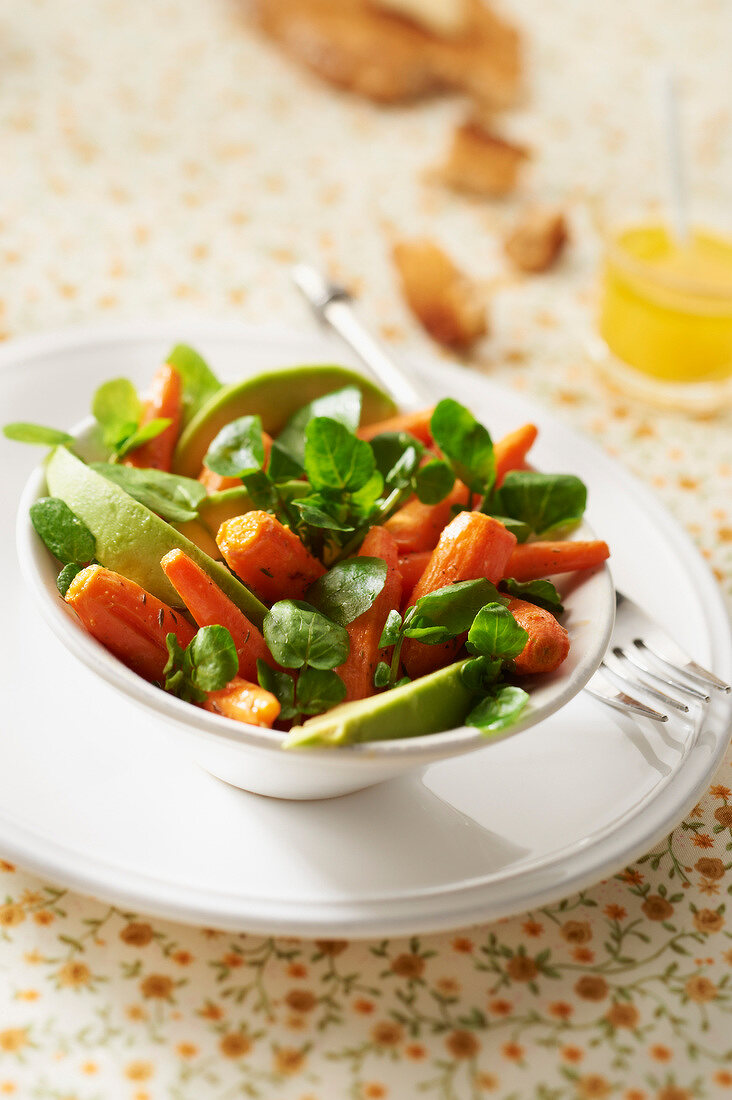 Salat mit Karotten, Avocado und Kresse