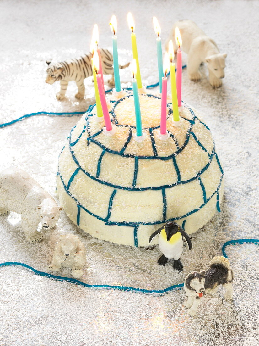 Igloo-shaped birthday cake