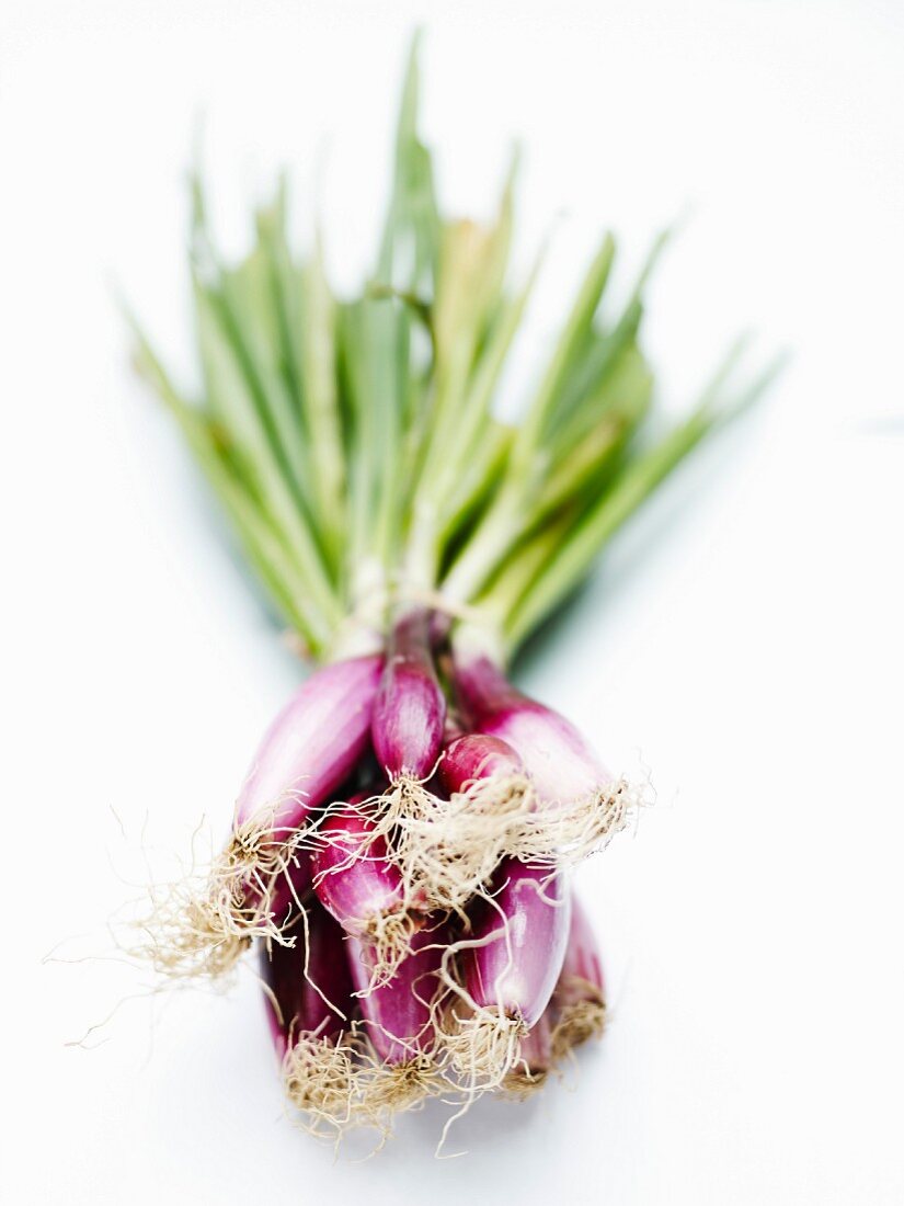 Bunch of shallots on a white background