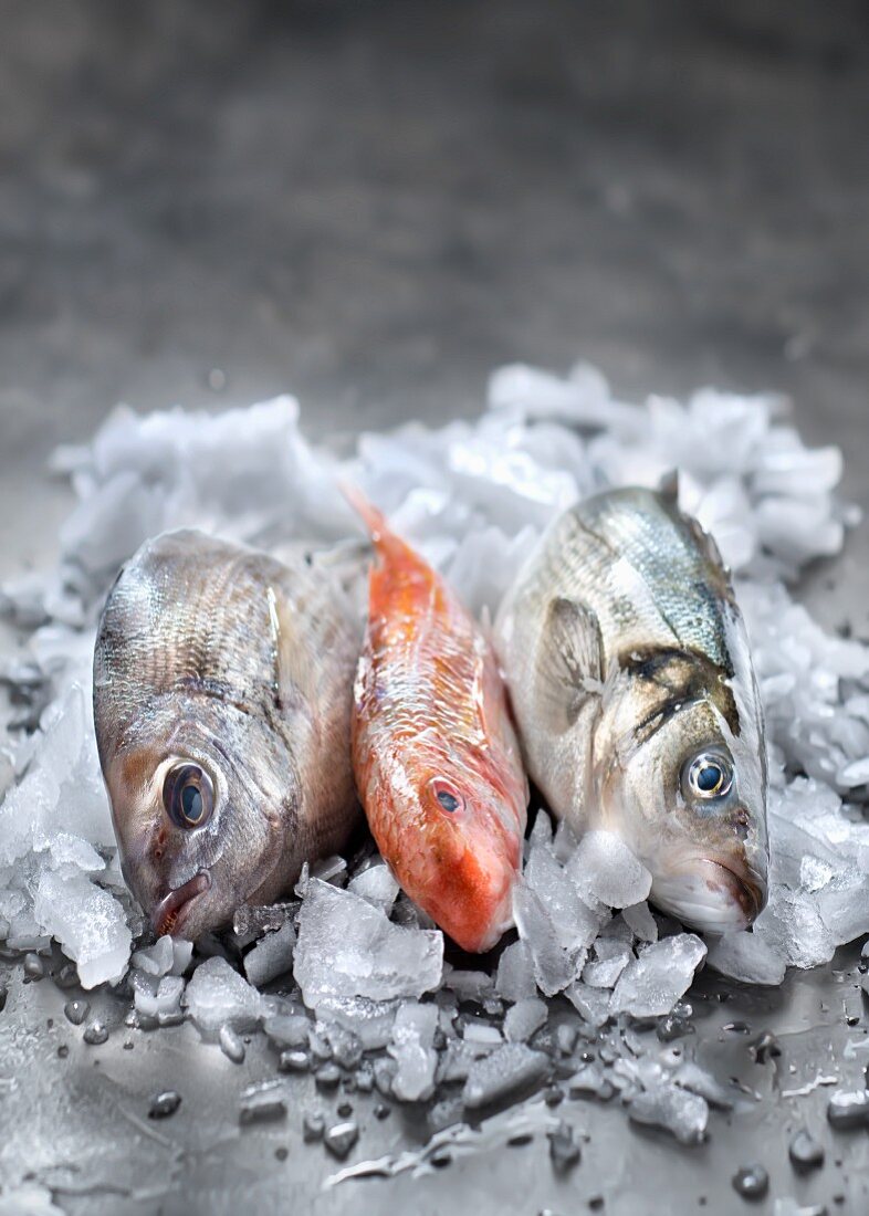 Three raw fresh fish