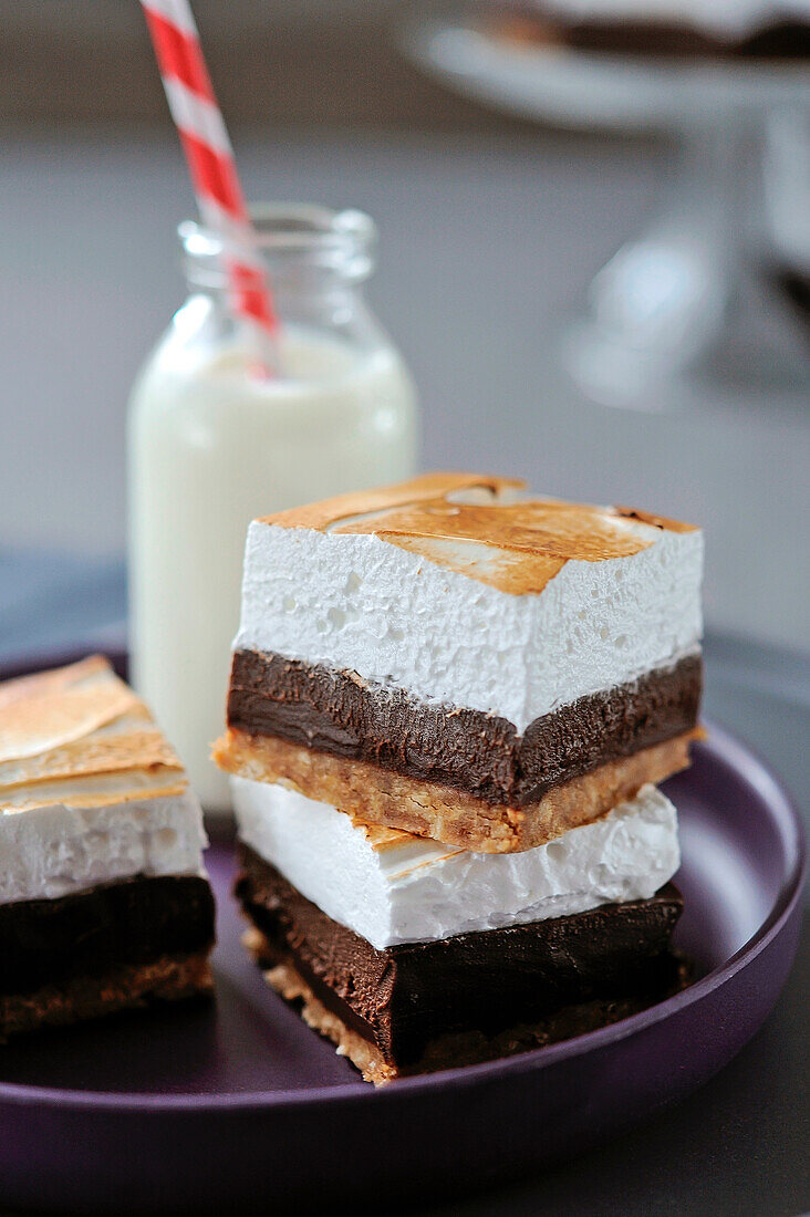 Chocolate,coconut and meringue squares