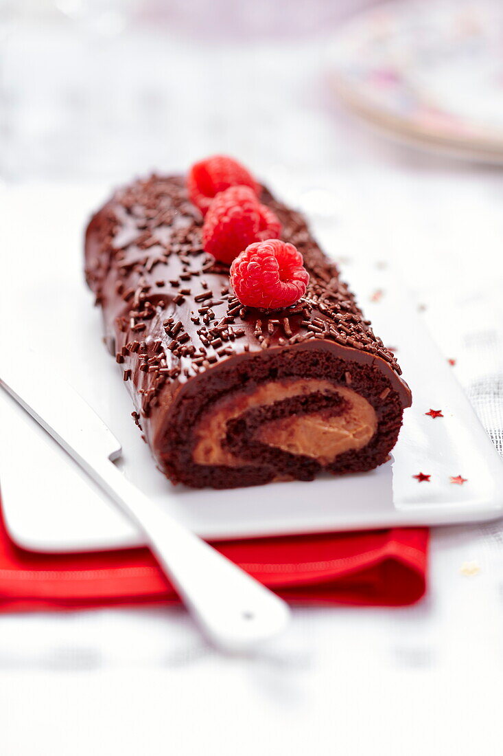 Chocolate and raspberry Christmas log cake