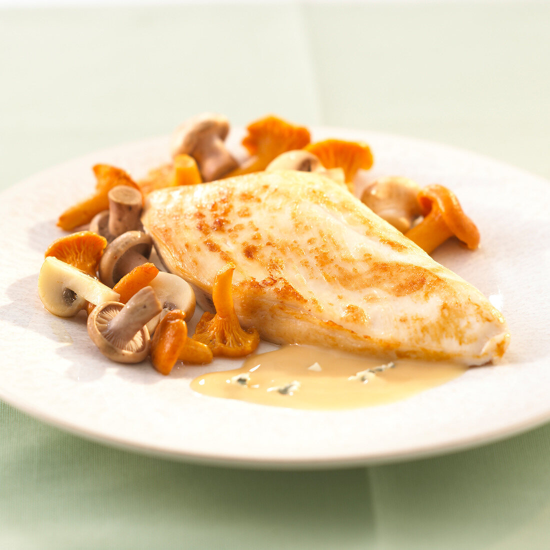 Chicken escalope with mixed mushrooms and creamy sauce