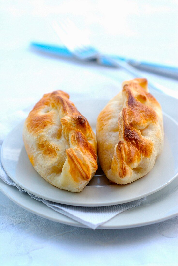 Empanadas (argentinische Teigtaschen) mit Hähnchen