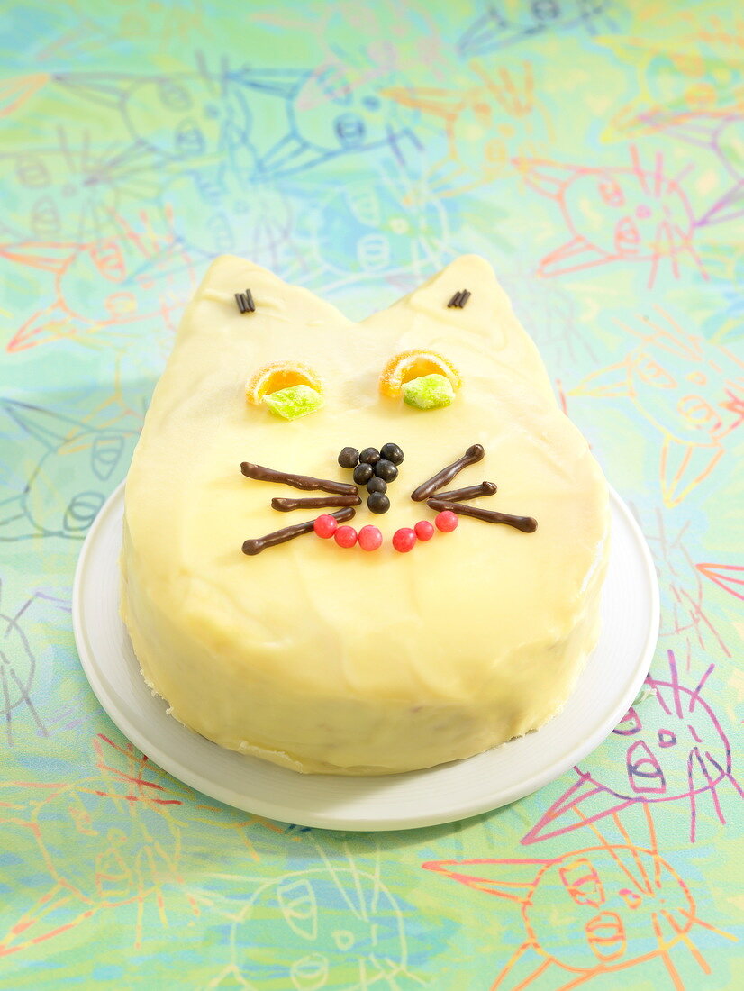 Katzengesicht-Kuchen
