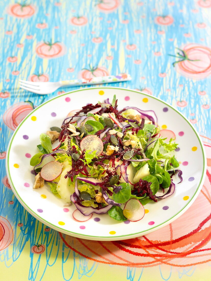 Salat mit Radieschen, Rotkohl und Körnern