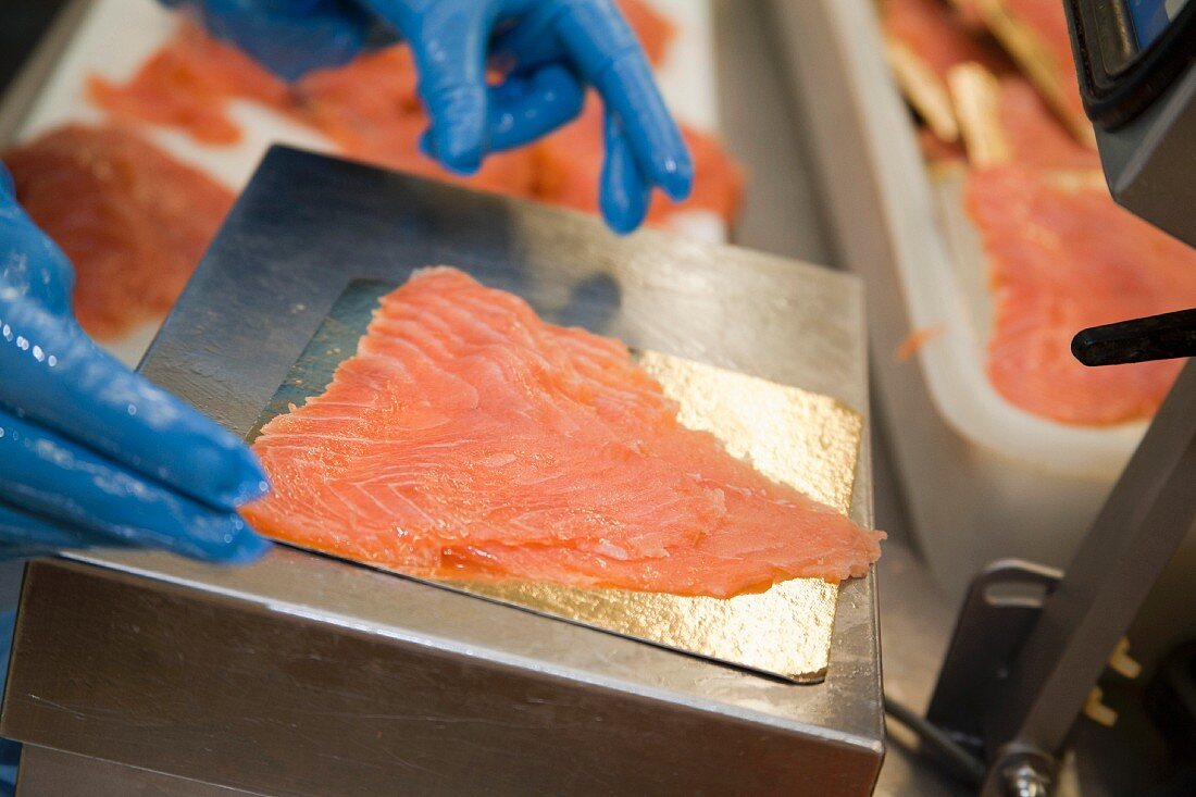 Preparing Irish salmon :packing the portions of sliced salmon
