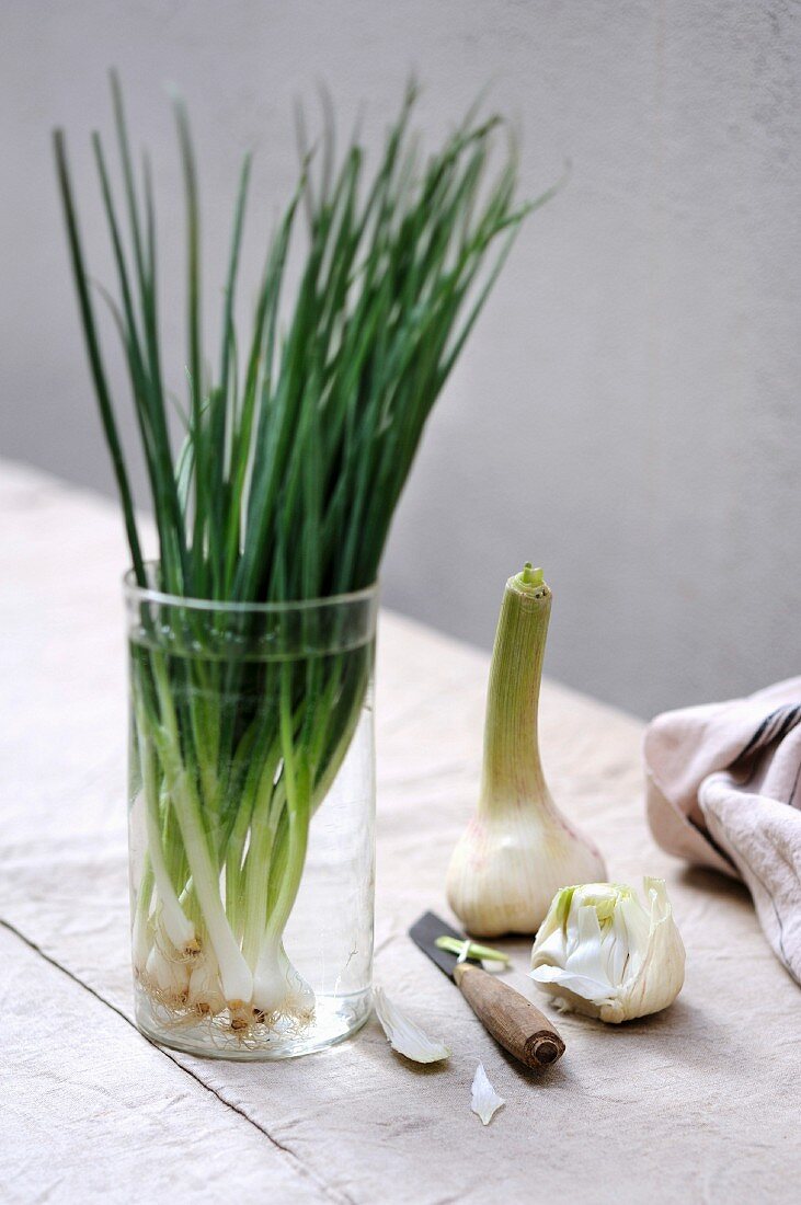 Spring onions in a glass of water and peeling a fresh garlic clove