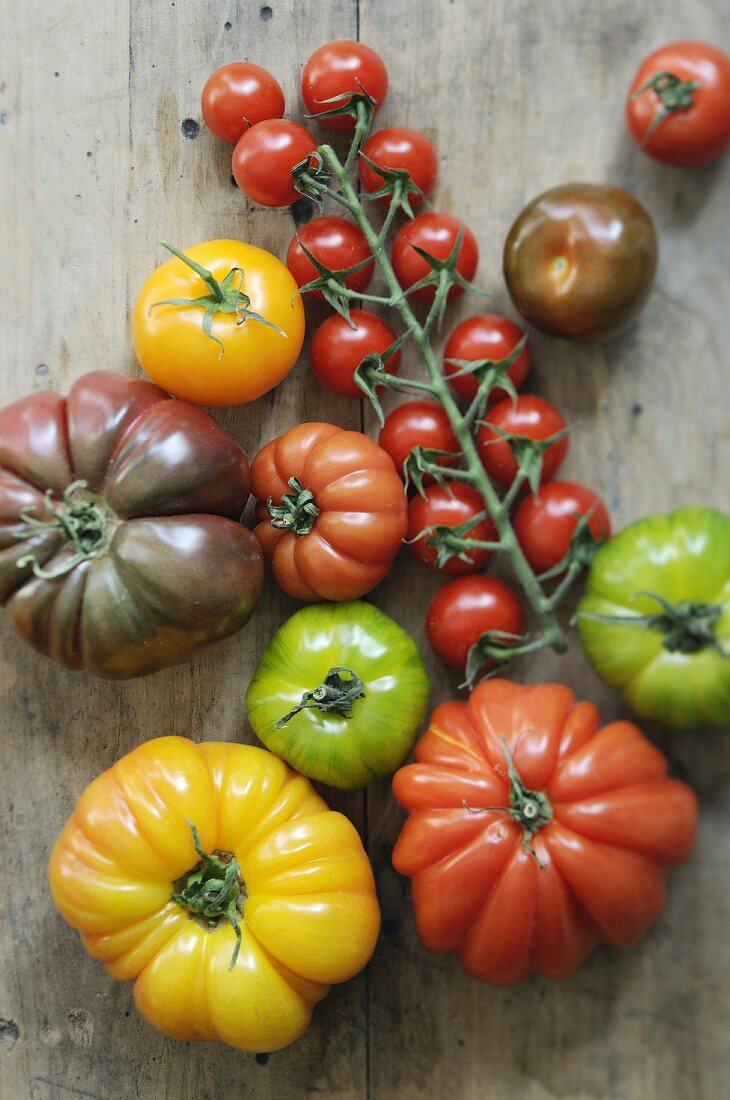 Bunte Tomaten verschiedener Sorten