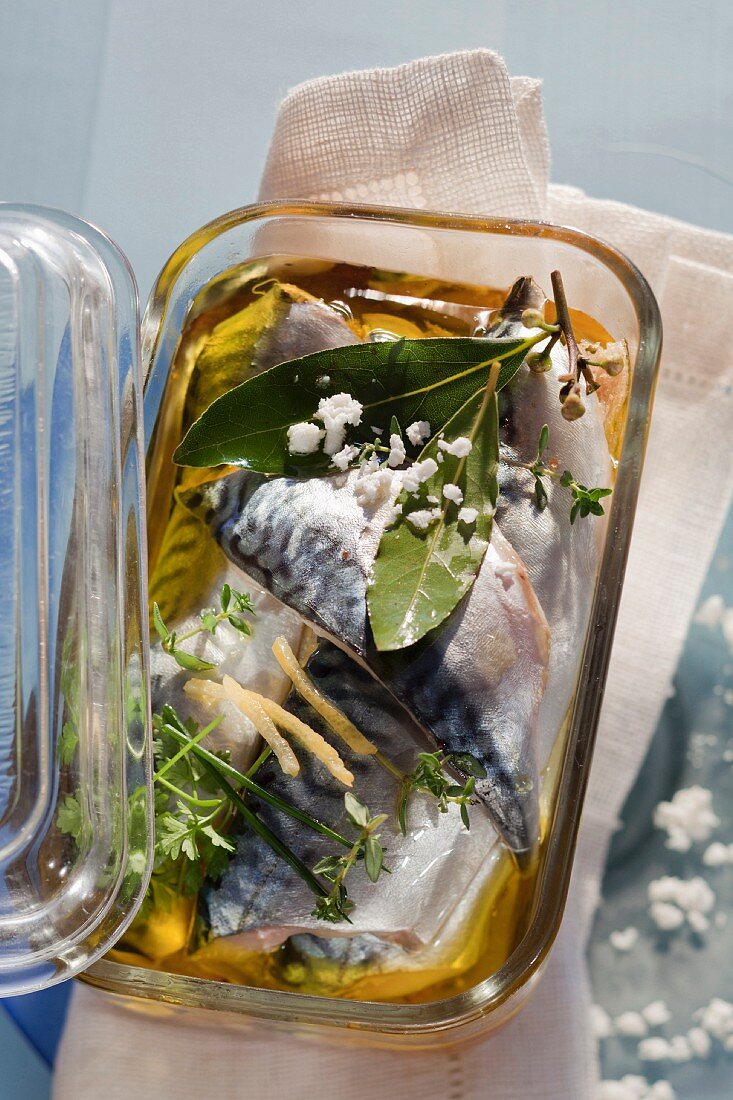 Mackerel in oil with herbs, lemon zest and goat's cream cheese