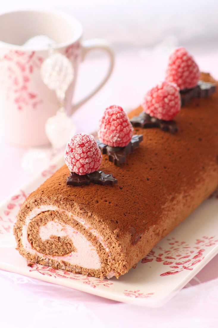 Chocolate-raspberry log cake