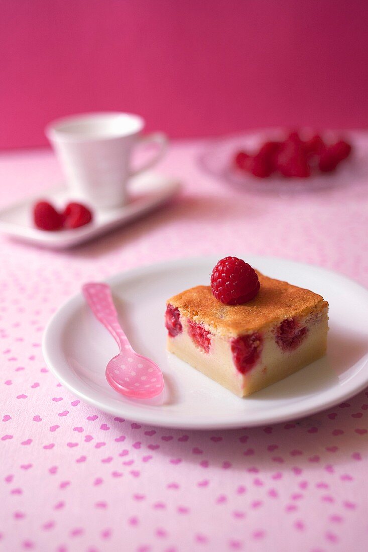 Ein Stück Himbeerkuchen