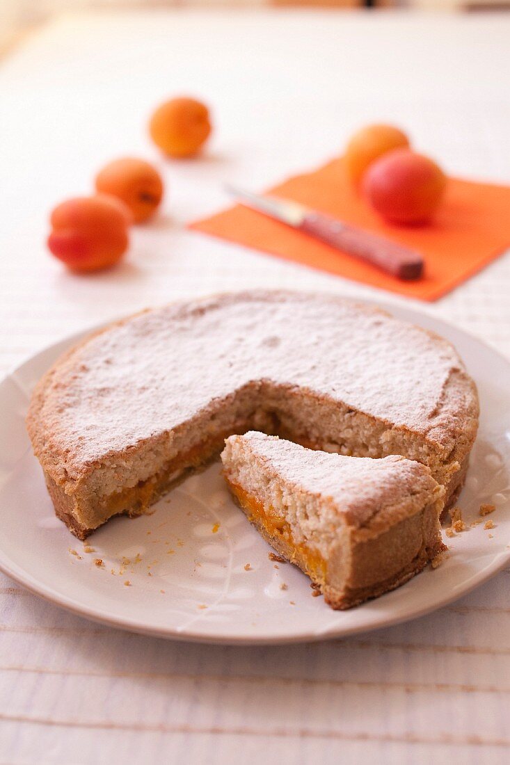 Fénétra, Aprikosen-Mandelkuchen mit Zitronat aus Toulouse