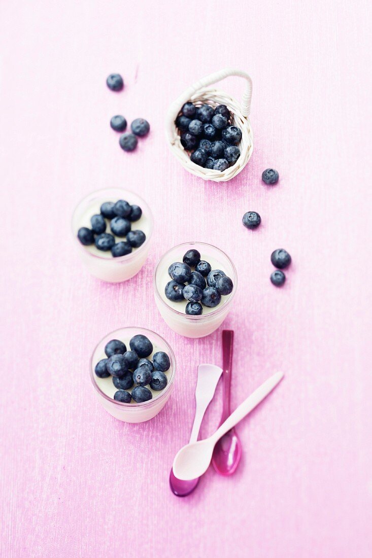Panna cottas with blueberries