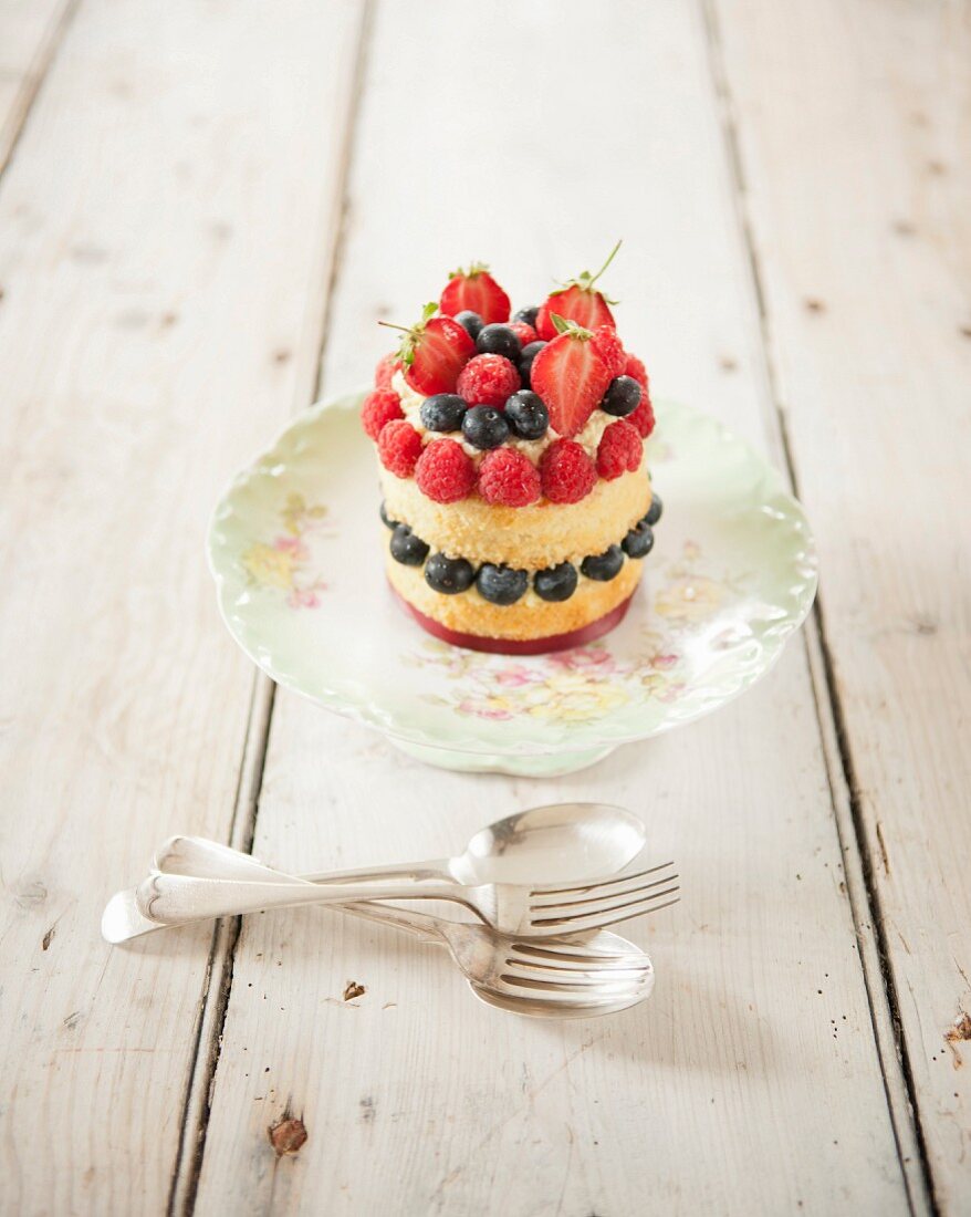 Small summer fruit sponge cake