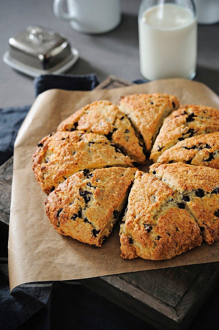 Chocolate chip scones