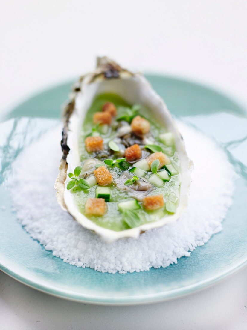 Oyster on cucumber sauce with basil and croutons