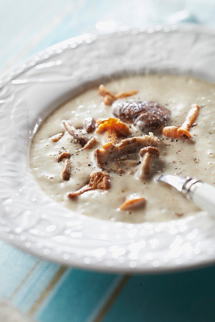 Creamed potato and wild mushroom soup