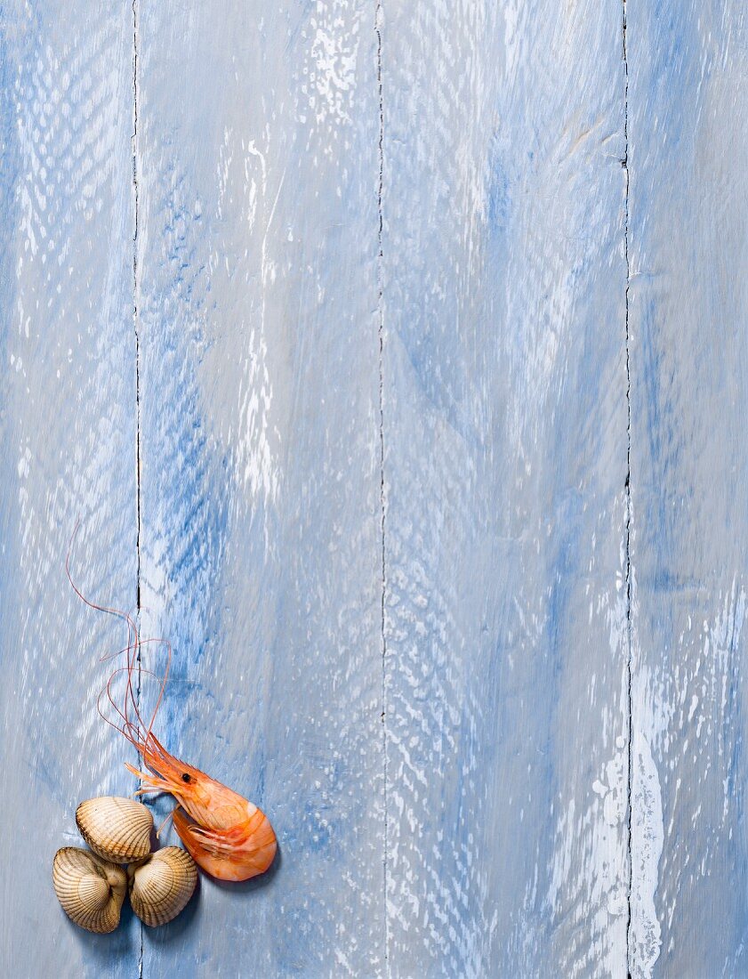 Shrimps and cockles on a blue background