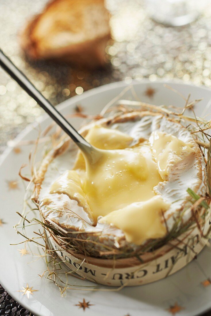 Camembert with hay