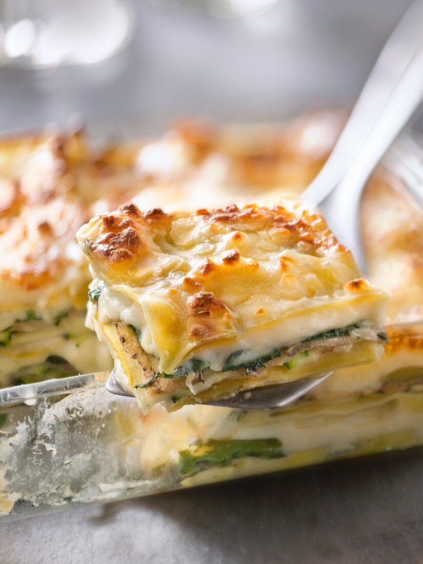 Vegetable and bechamel lasagnes