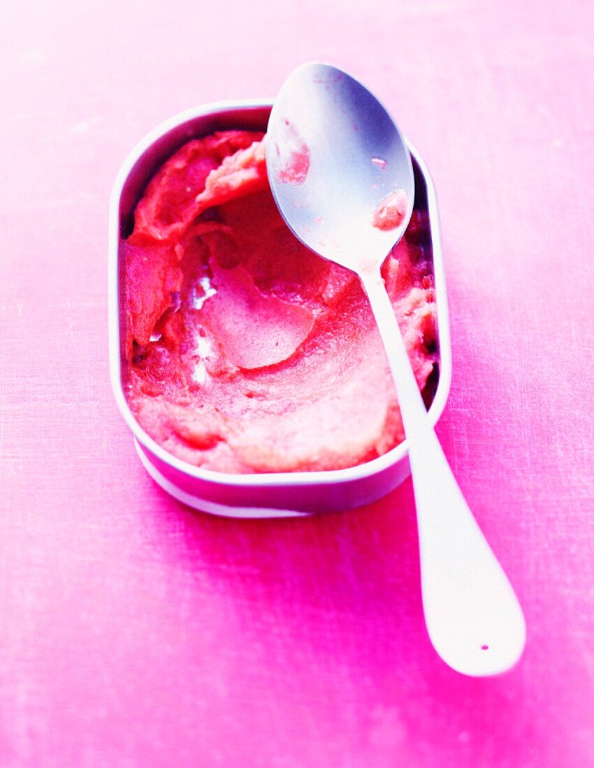 Eiscreme Erdbeer-Rhabarber