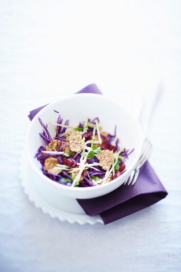 Red cabbage salad with cereals and cranberries