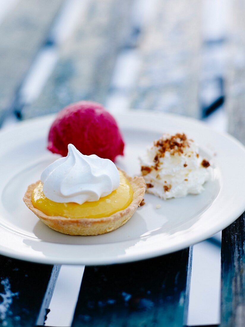 Gourmand plate :lemon meringue pie,raspberry sorbet and meringue