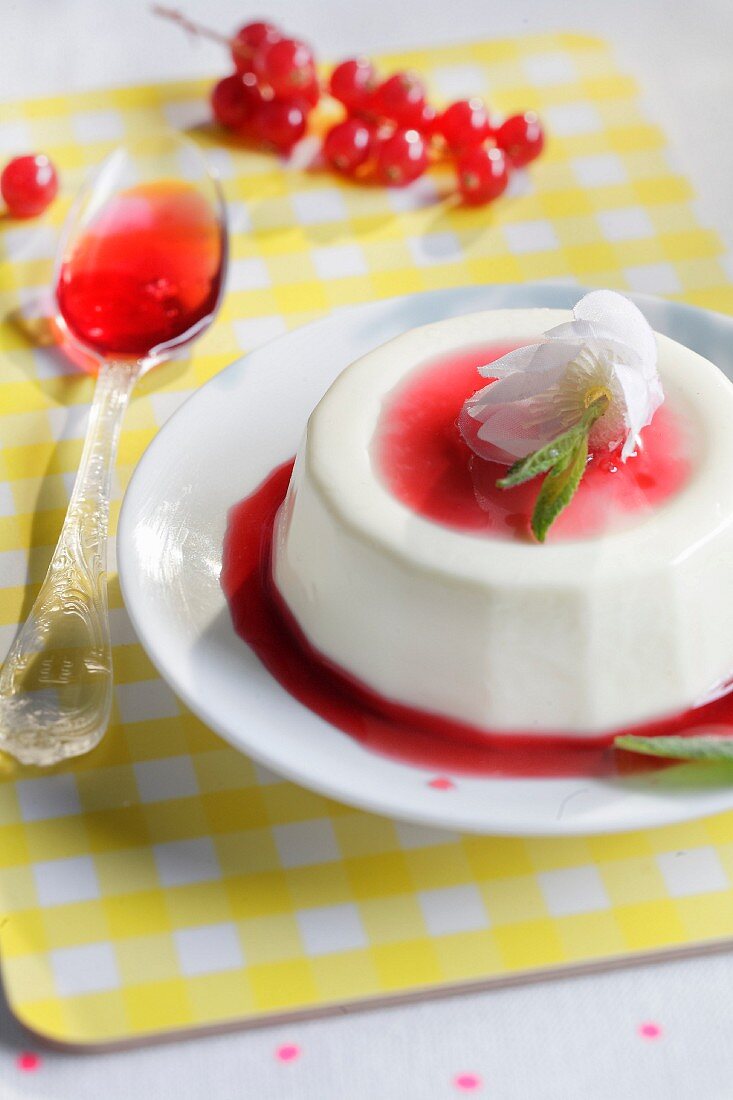 Panna Cotta mit roter Johannisbeersauce