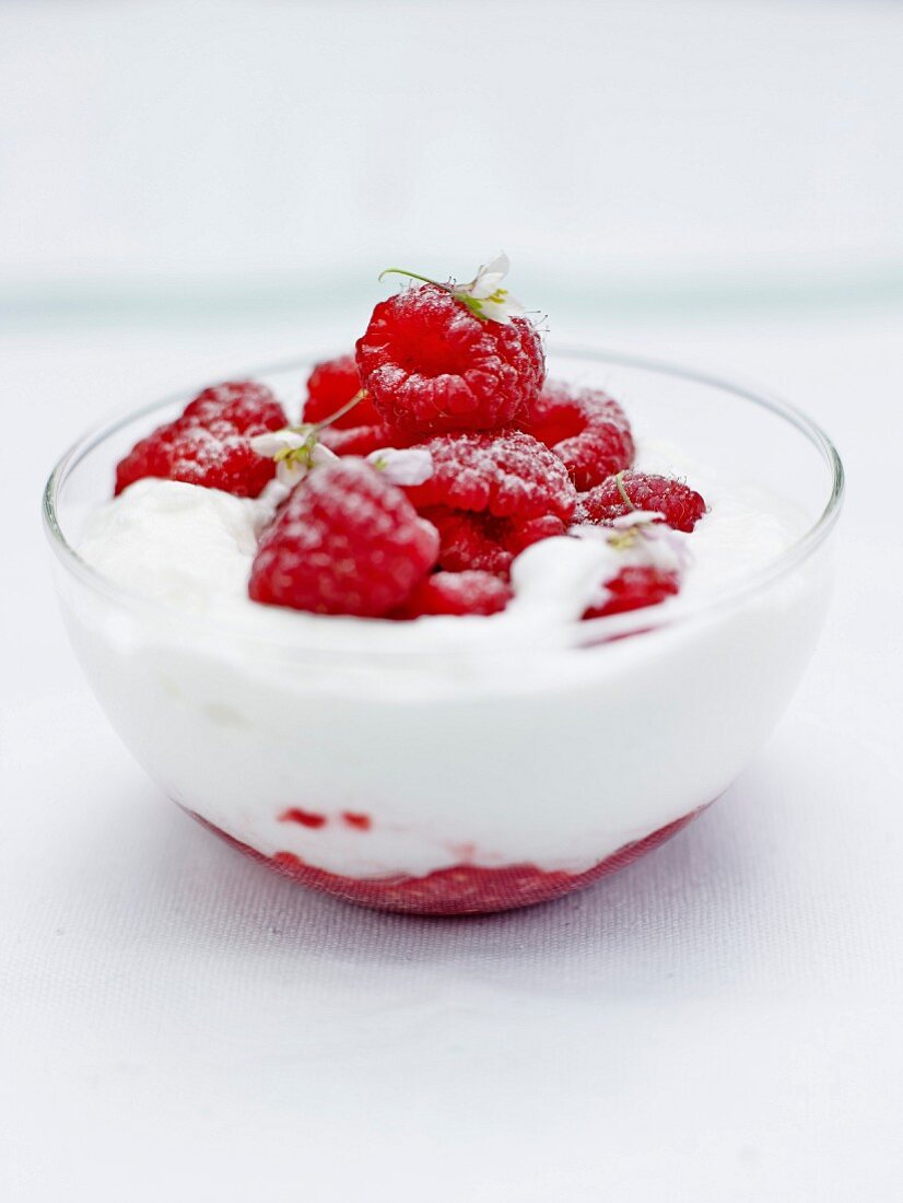 Fromage blanc mousse with raspberries