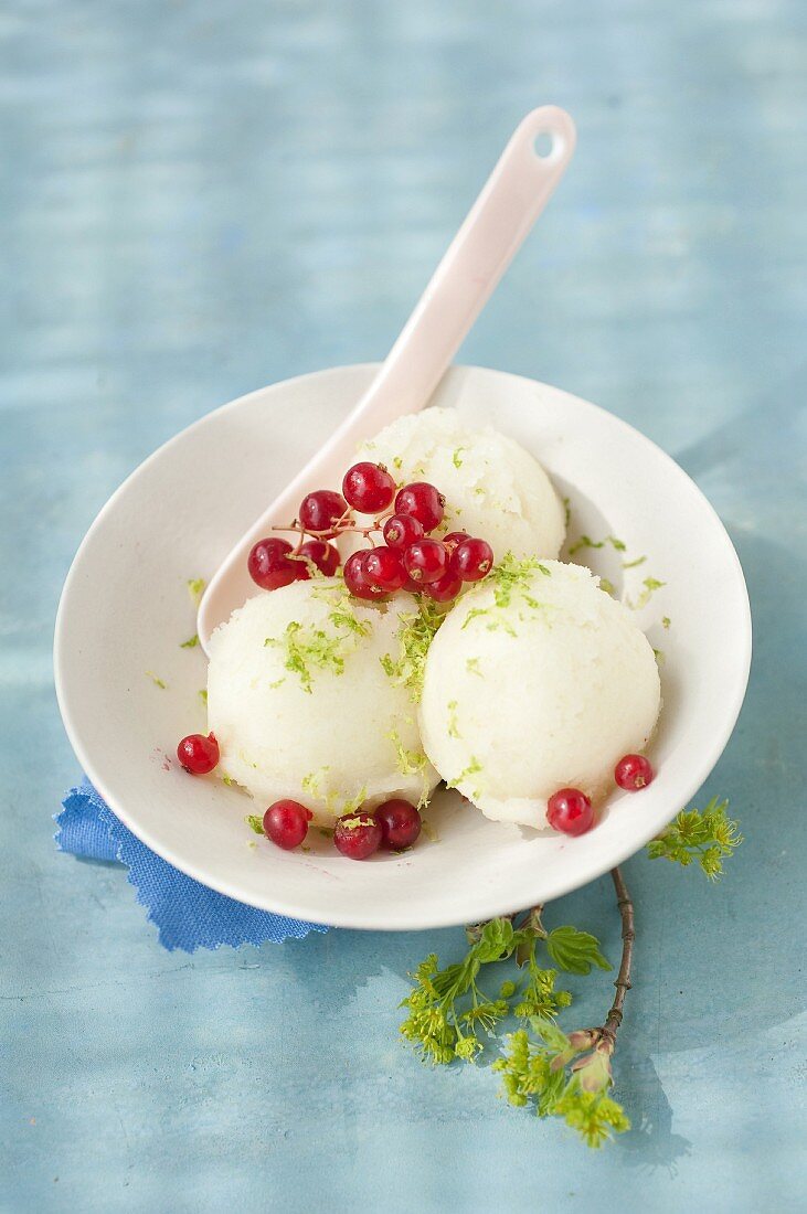 Birnensorbet mit roten Johannisbeeren und Limettenzesten