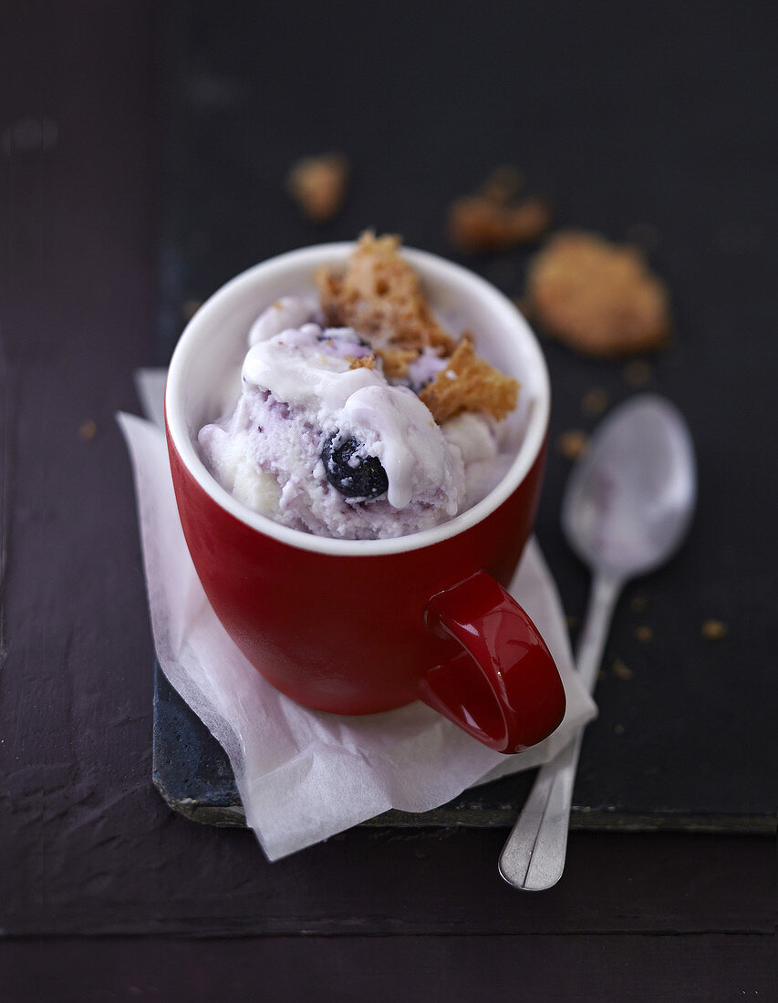 Ricotta-blueberry ice cream