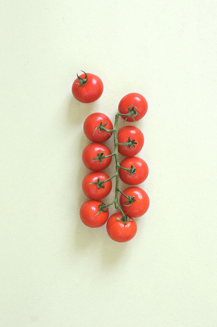 Bunch of tomatoes