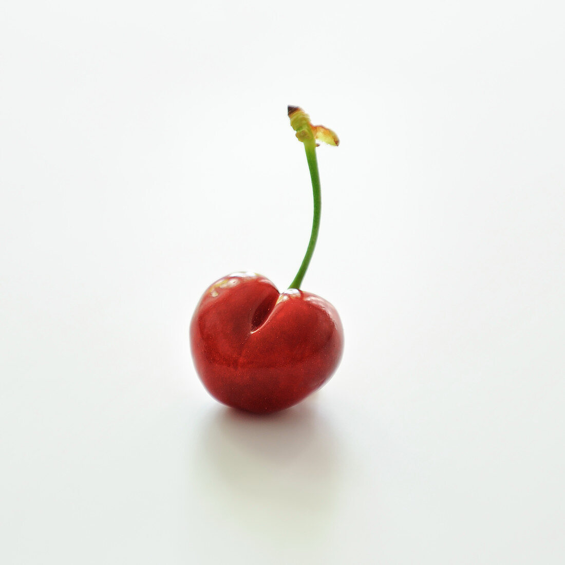 Cherry on a white background