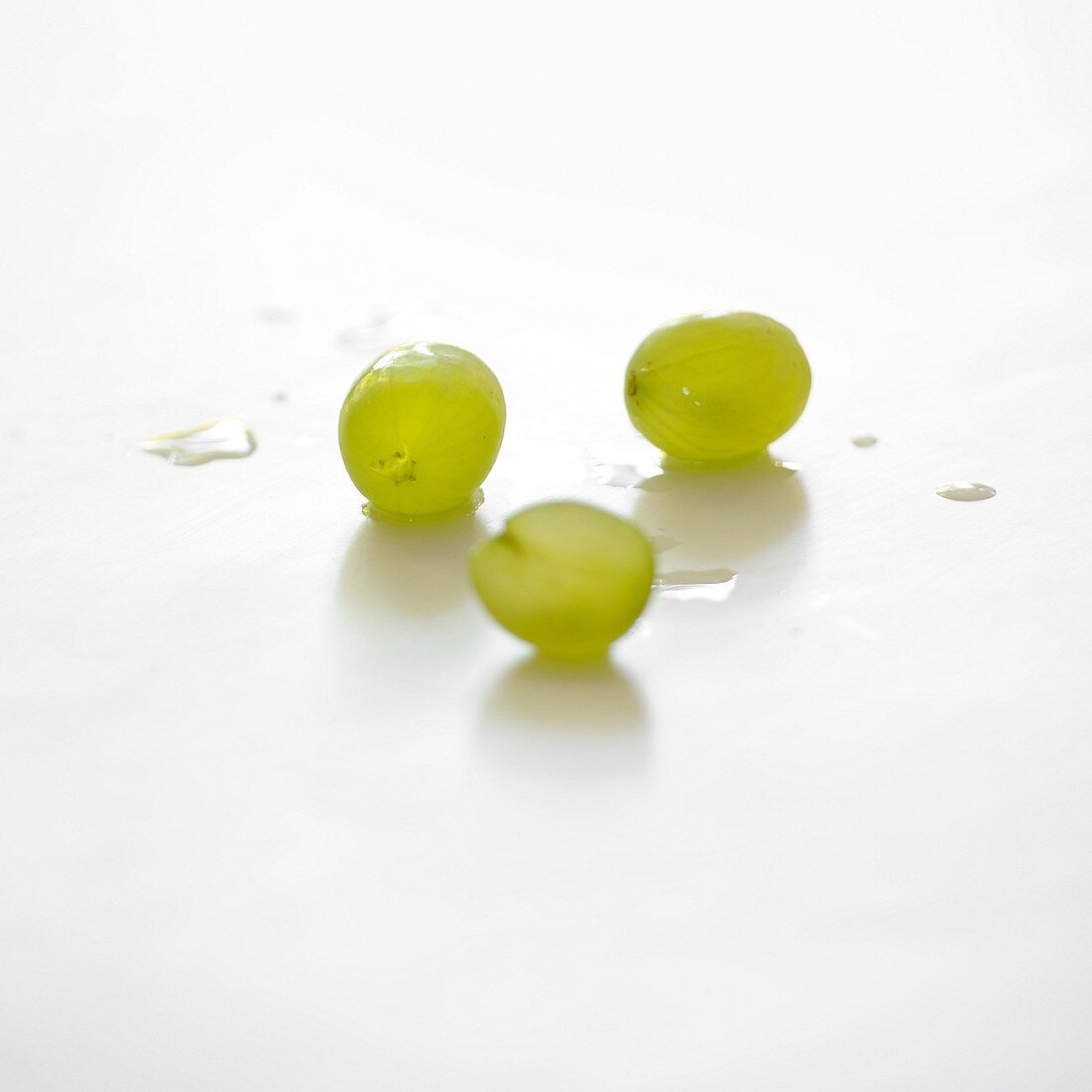Three white grapes on a white background