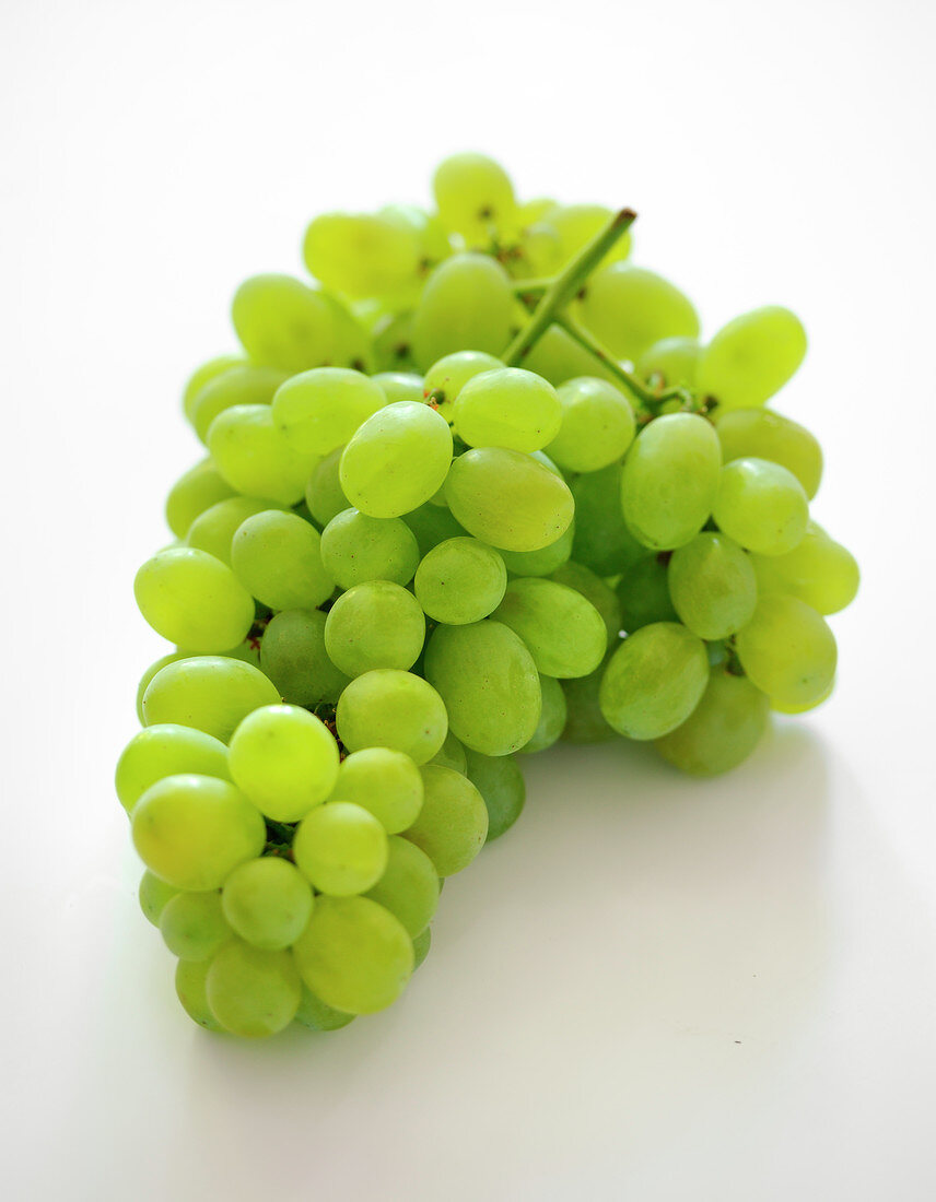 Bunch of white grapes