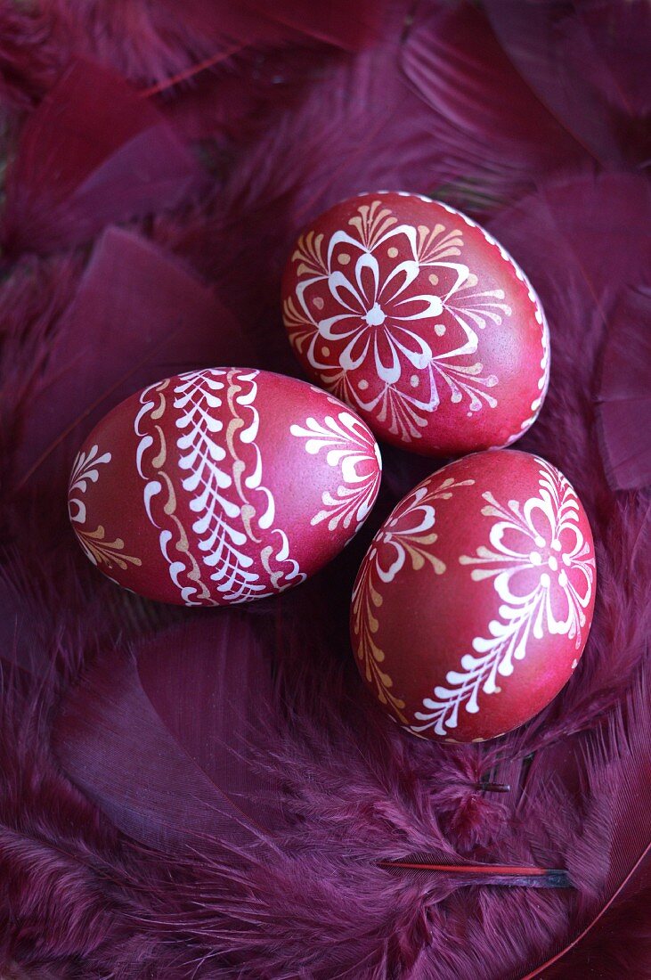 Decorated easter eggs and pink feathers